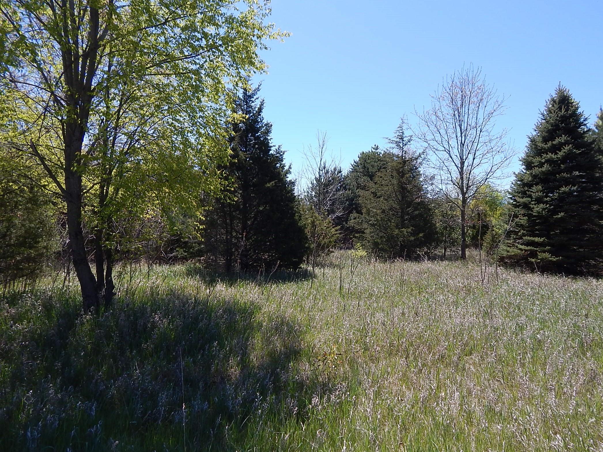 043-10 James Drive Three Rivers, MI 49093 - Photo 1 of 18 DSCN6015 (2)
