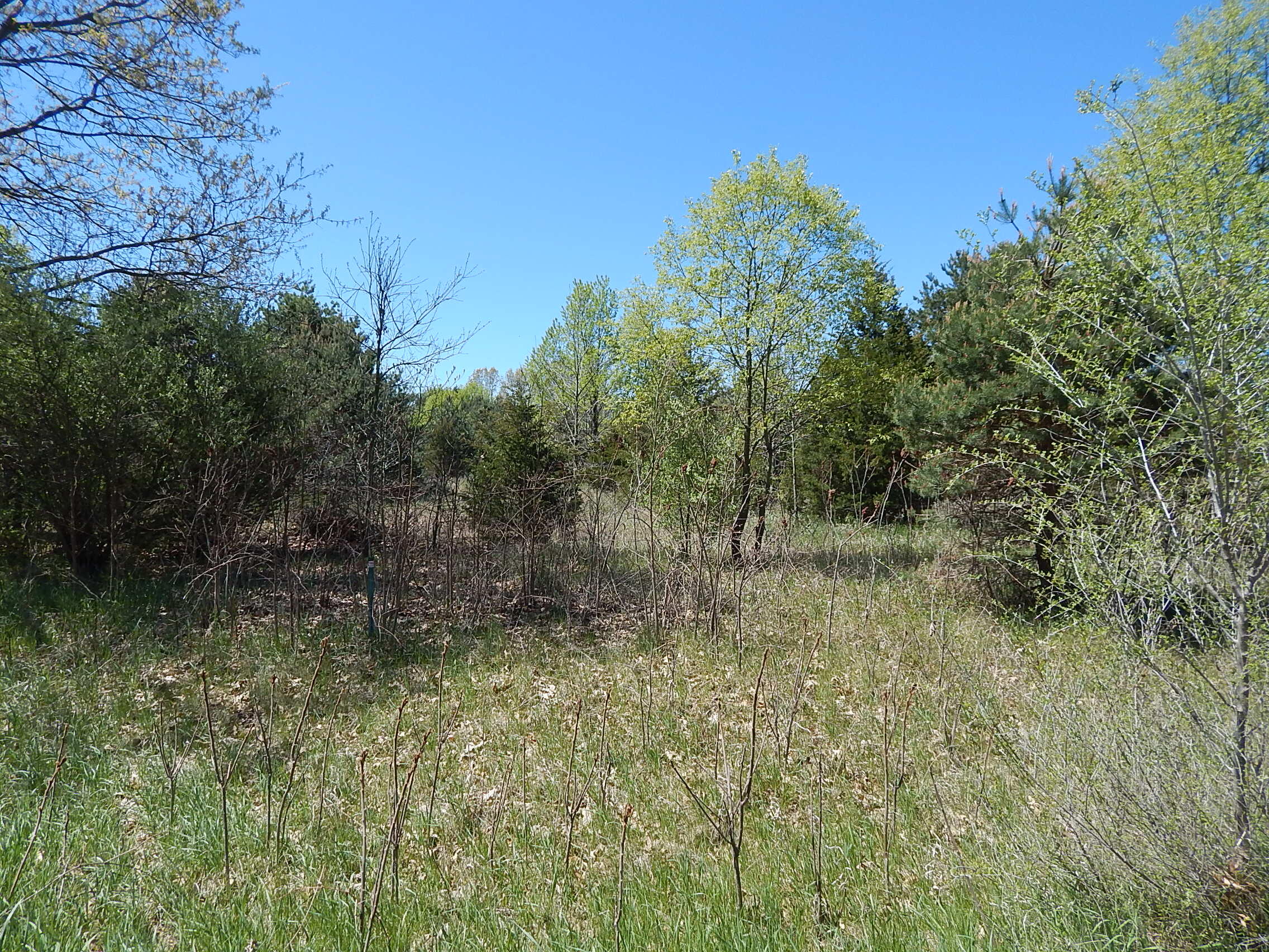 043-10 James Drive Three Rivers, MI 49093 - Photo 2 of 18 DSCN6013