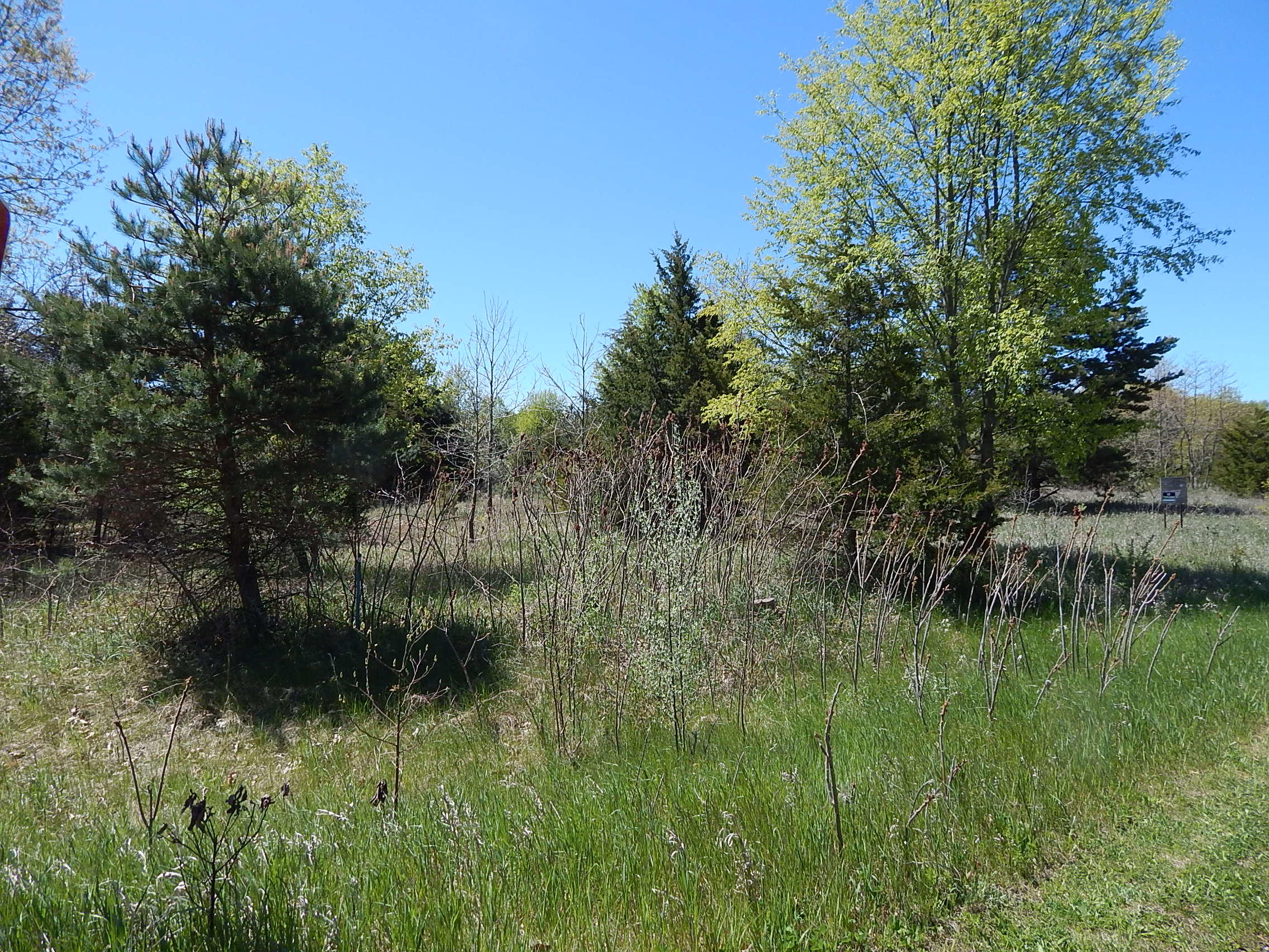 043-10 James Drive Three Rivers, MI 49093 - Photo 3 of 18 DSCN6014