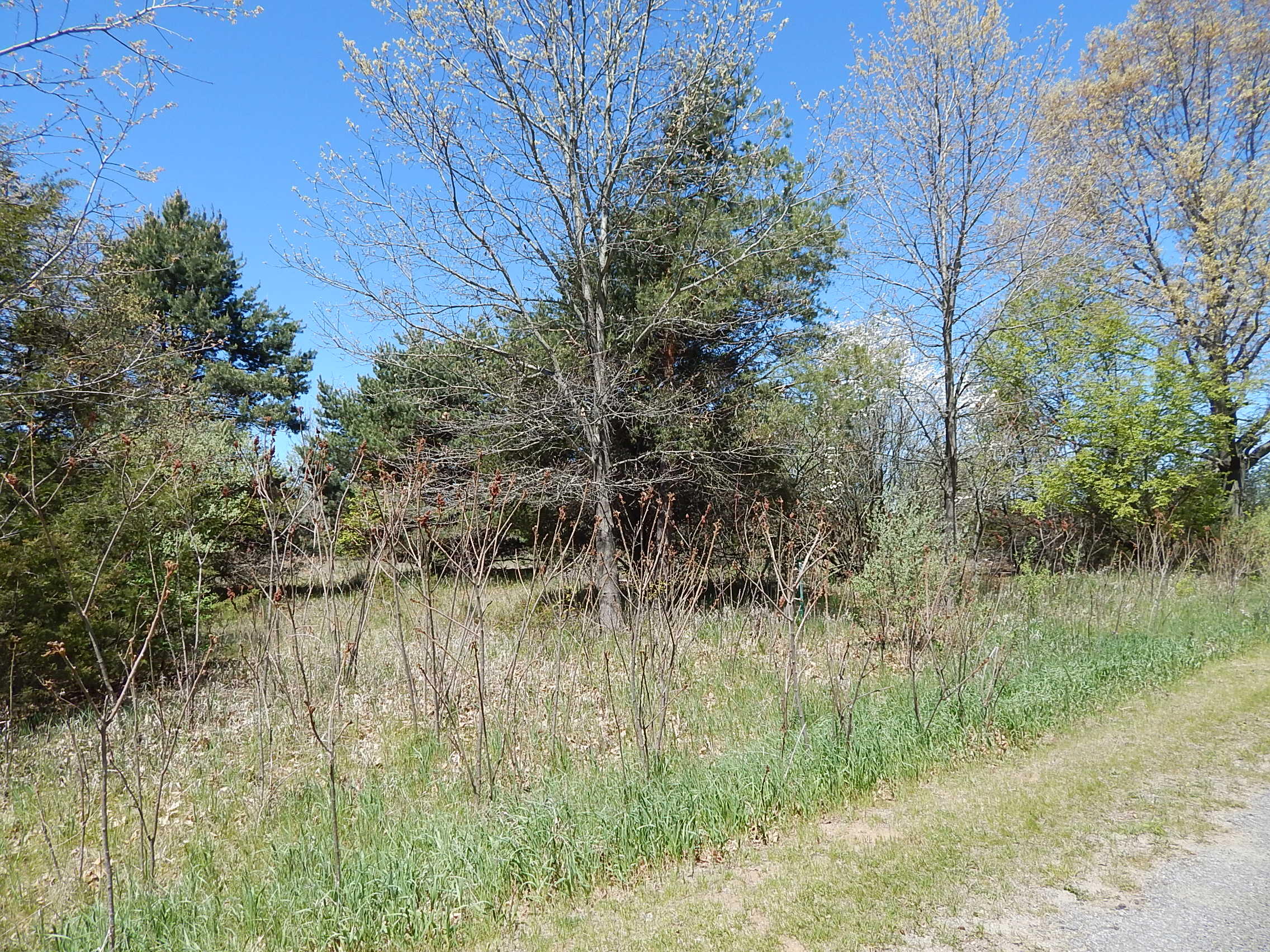 043-10 James Drive Three Rivers, MI 49093 - Photo 5 of 18 DSCN6017