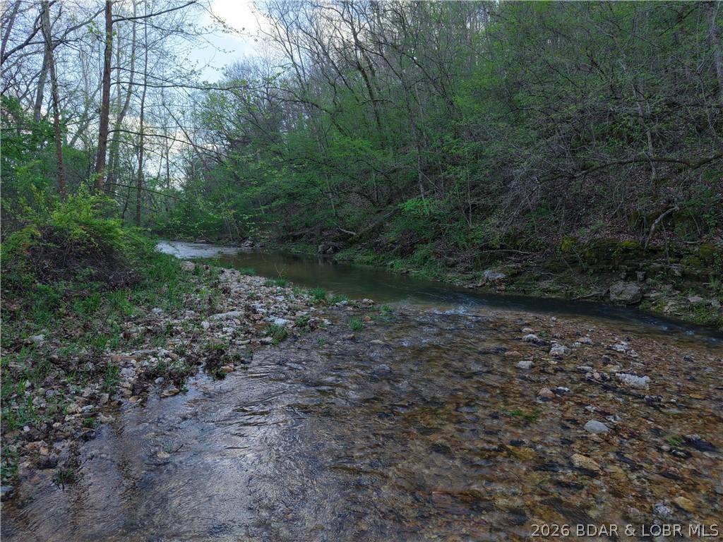 29740 Proctor Road Gravois Mills, MO 65037 - Photo 45 of 50