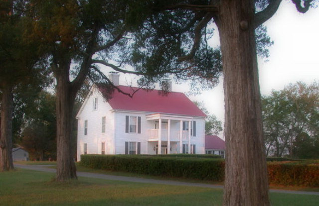 Main View