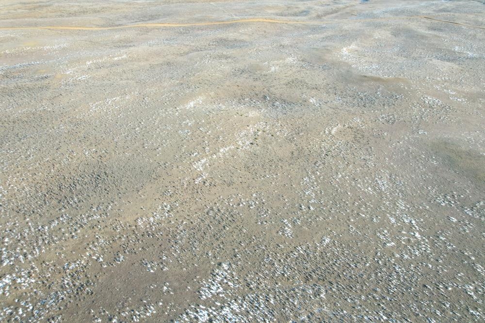 0 Cowboy Way Casper, WY 82601 - Photo 11 of 50