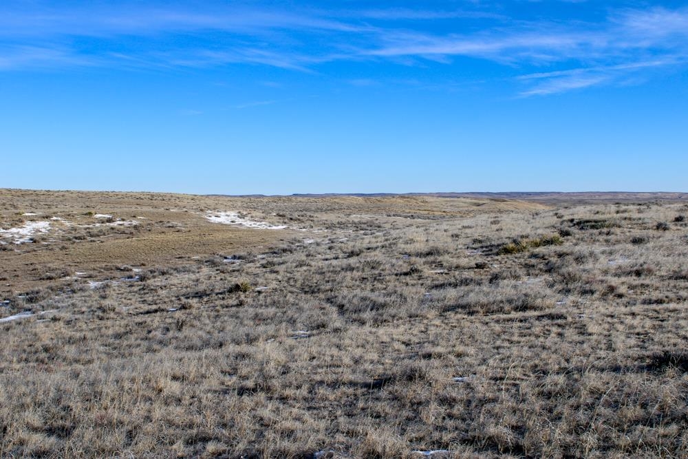 0 Cowboy Way Casper, WY 82601 - Photo 37 of 50