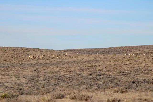 $75,000 | 0 Cowboy Way, Casper, WY 82601