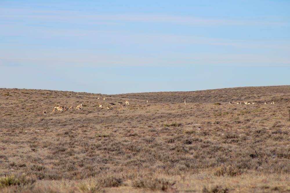 0 Cowboy Way Casper, WY 82601 - Photo 39 of 50