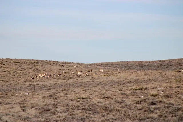 $75,000 | 0 Cowboy Way, Casper, WY 82601