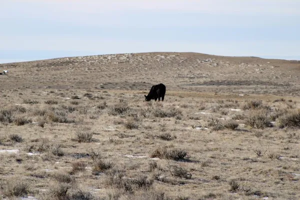 $72,000 | 0 Cowboy Way, Casper, WY 82601