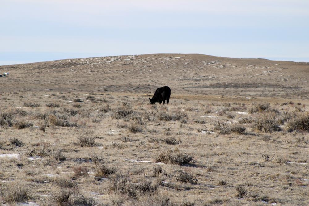 0 Cowboy Way Casper, WY 82601 - Photo 41 of 50