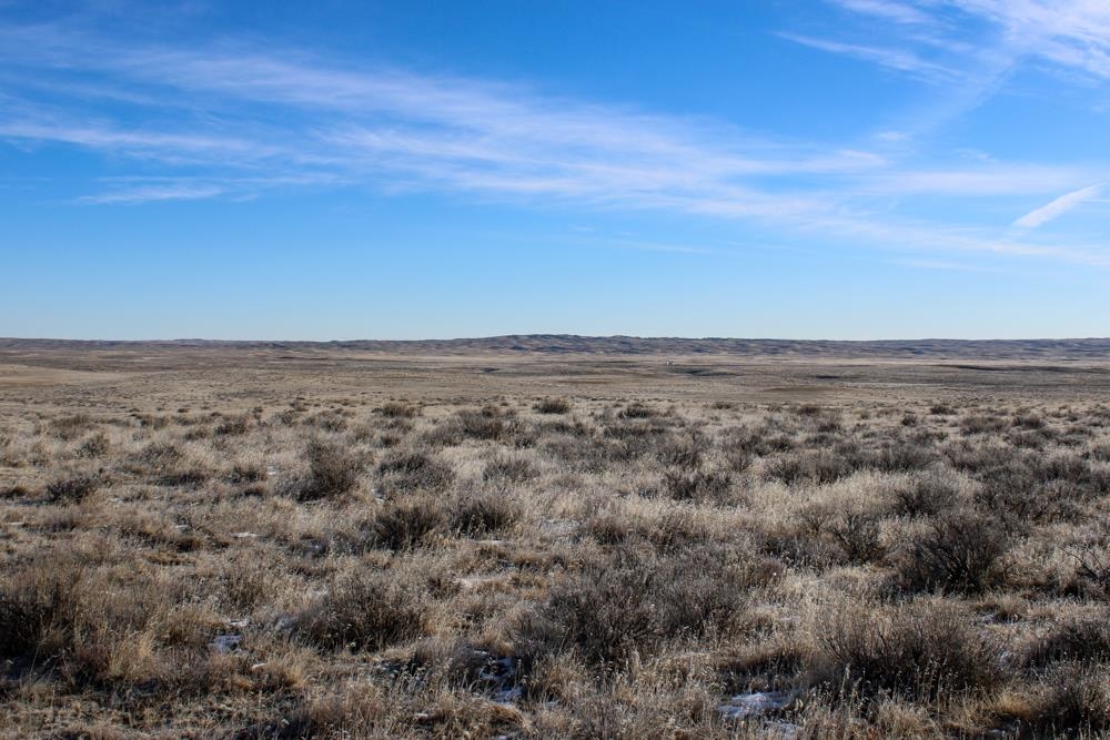 0 Cowboy Way Casper, WY 82601 - Photo 43 of 50