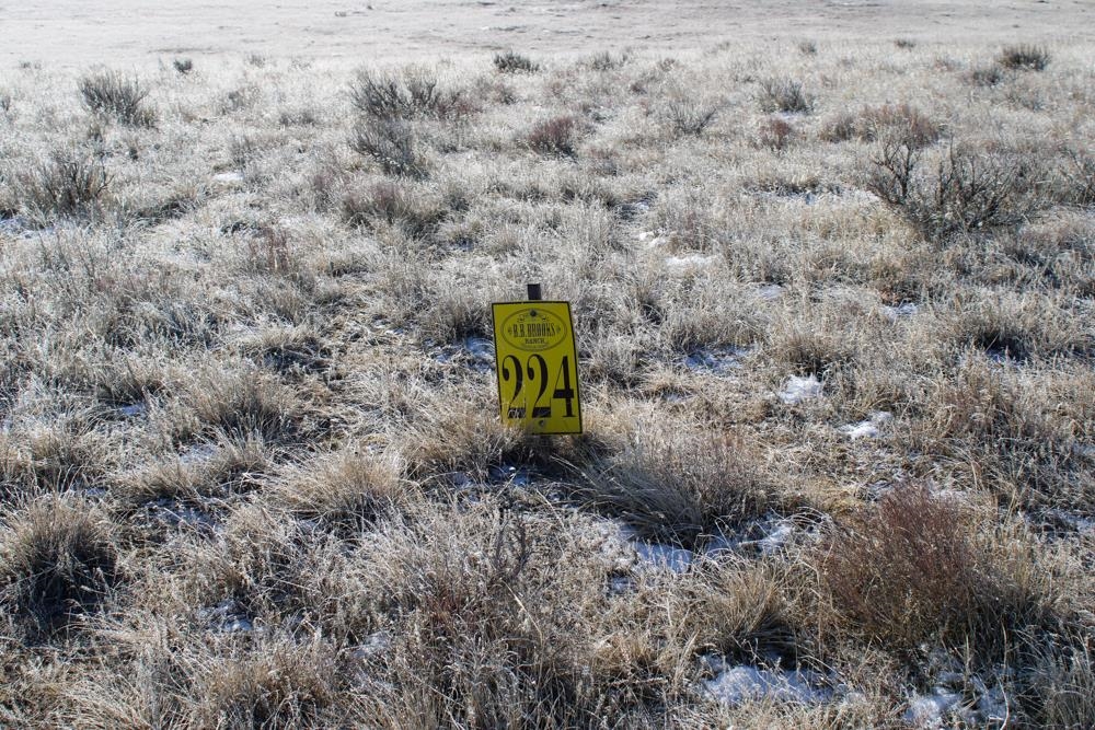 0 Cowboy Way Casper, WY 82601 - Photo 49 of 50