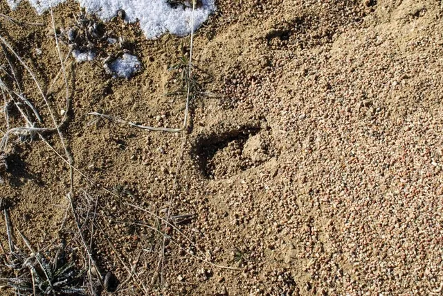 $75,000 | 0 Cowboy Way, Casper, WY 82601