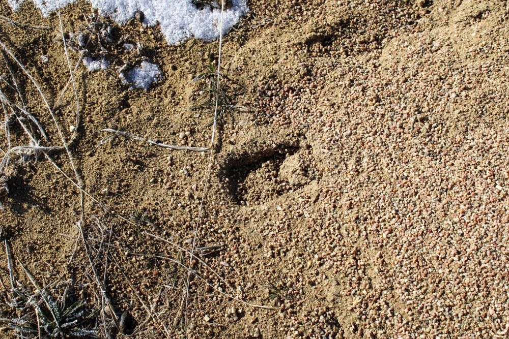 0 Cowboy Way Casper, WY 82601 - Photo 50 of 50