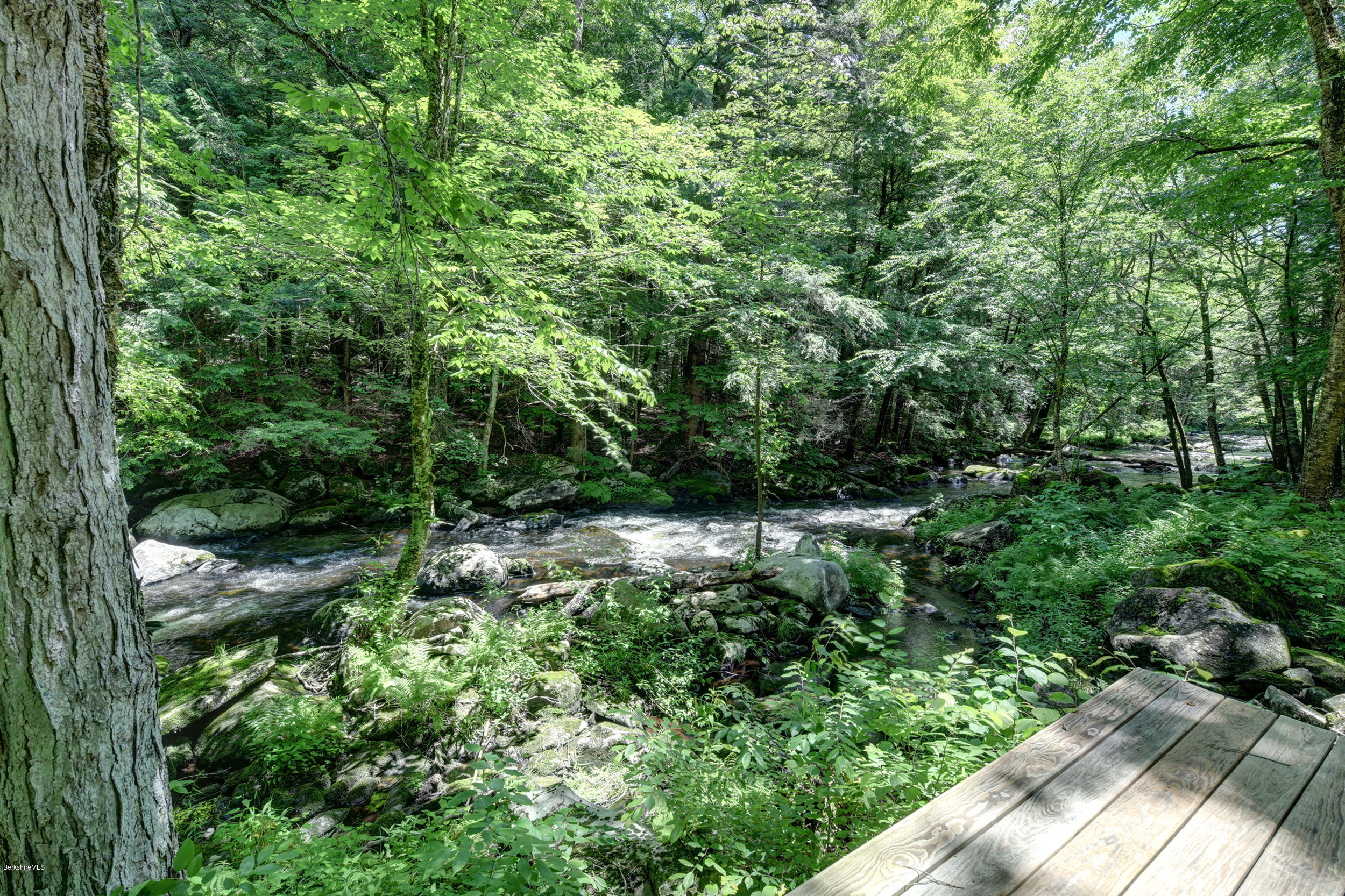 726 North Main Road Otis, MA 01253 - Photo 28 of 30 a view of a garden with plants and large trees