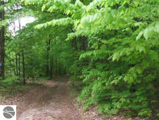 5609 North 3 Road Mesick, MI 49668 - Photo 2 of 4 1679417-1.JPG