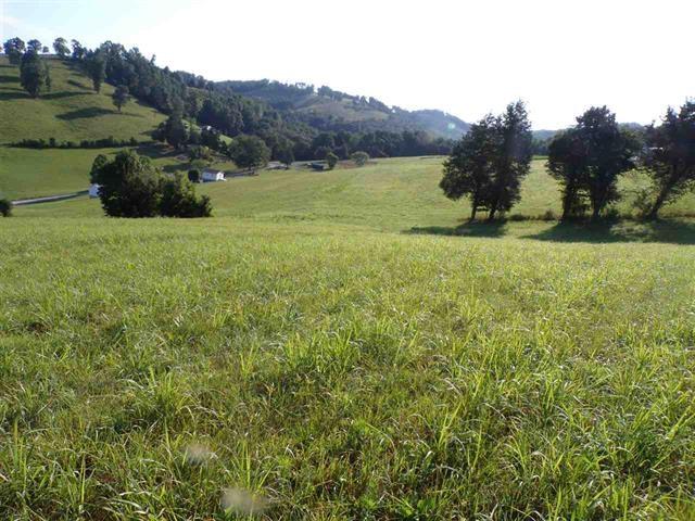 0 Crain Hill Road Harrogate, TN 37752 - Photo 1 of 9 589394