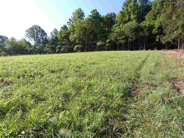 0 Crain Hill Road Harrogate, TN 37752 - Photo 2 of 9 589394-1