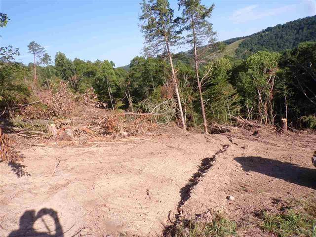 0 Crain Hill Road Harrogate, TN 37752 - Photo 4 of 9 589394-3
