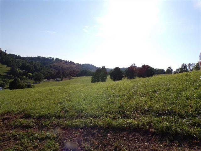 0 Crain Hill Road Harrogate, TN 37752 - Photo 6 of 9 589394-5