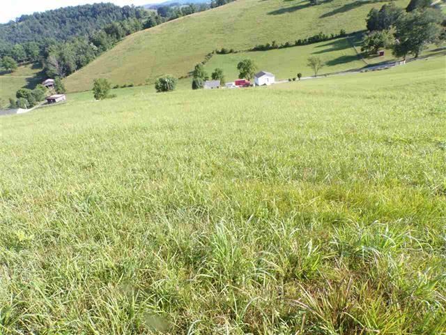 0 Crain Hill Road Harrogate, TN 37752 - Photo 7 of 9 589394-6