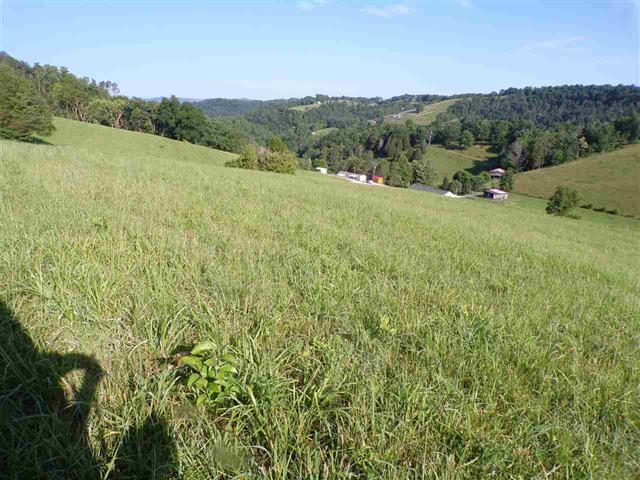 0 Crain Hill Road Harrogate, TN 37752 - Photo 8 of 9 589394-7