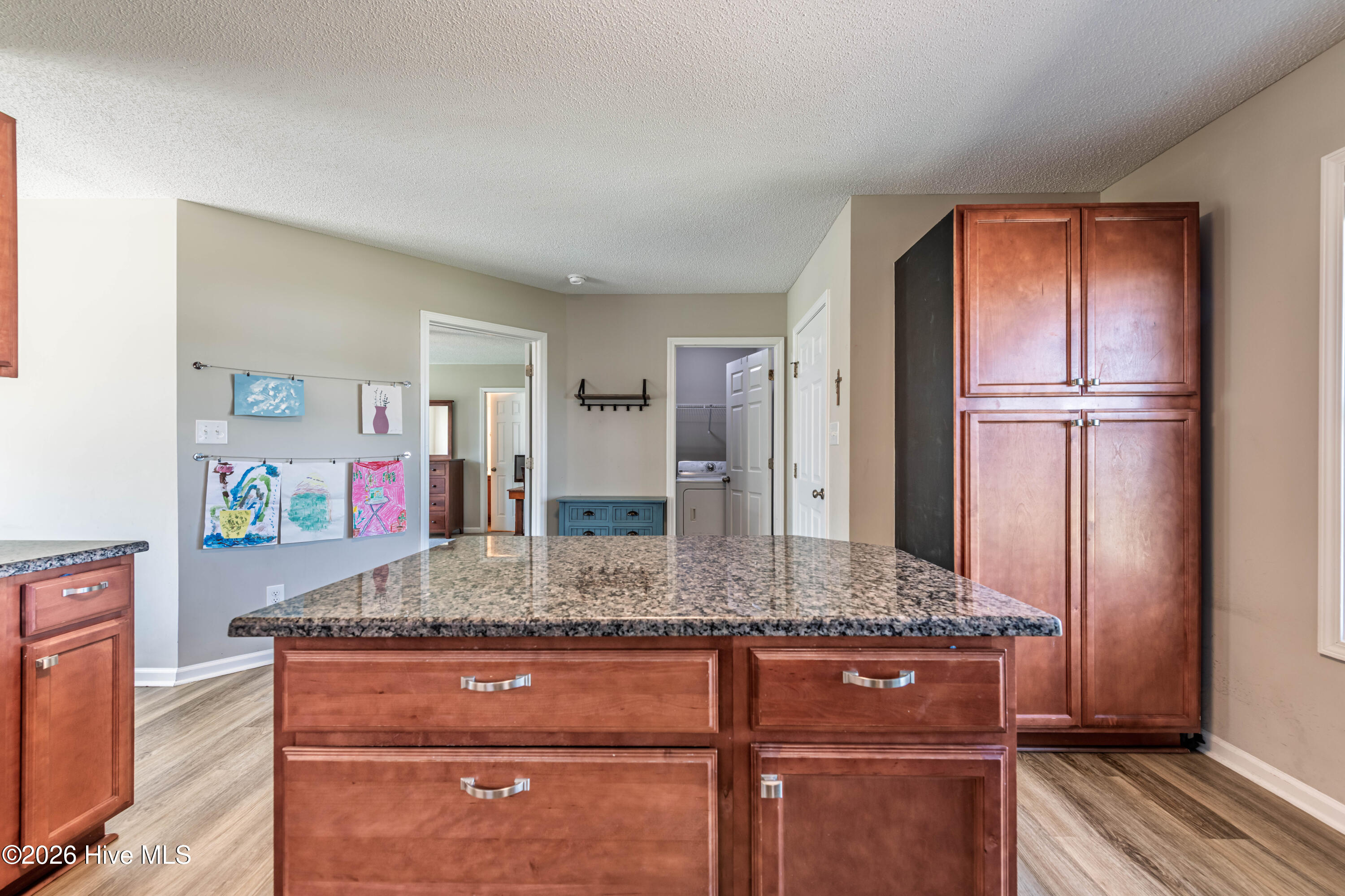 317 Shadyrock Path Richlands, NC 28574 - Photo 18 of 52 Rbecca P (10 of 51)