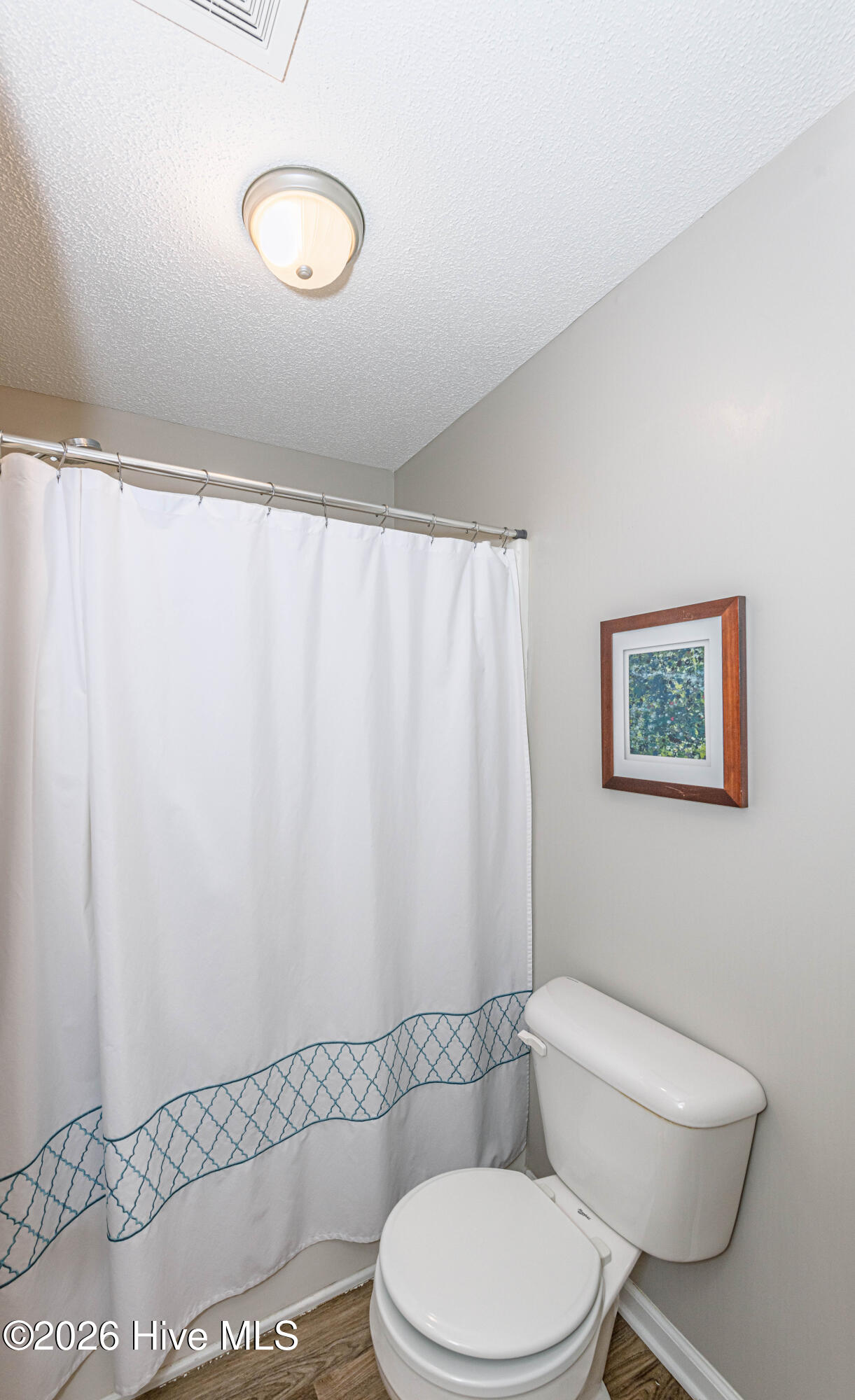 317 Shadyrock Path Richlands, NC 28574 - Photo 29 of 52 Rbecca P (28 of 51)