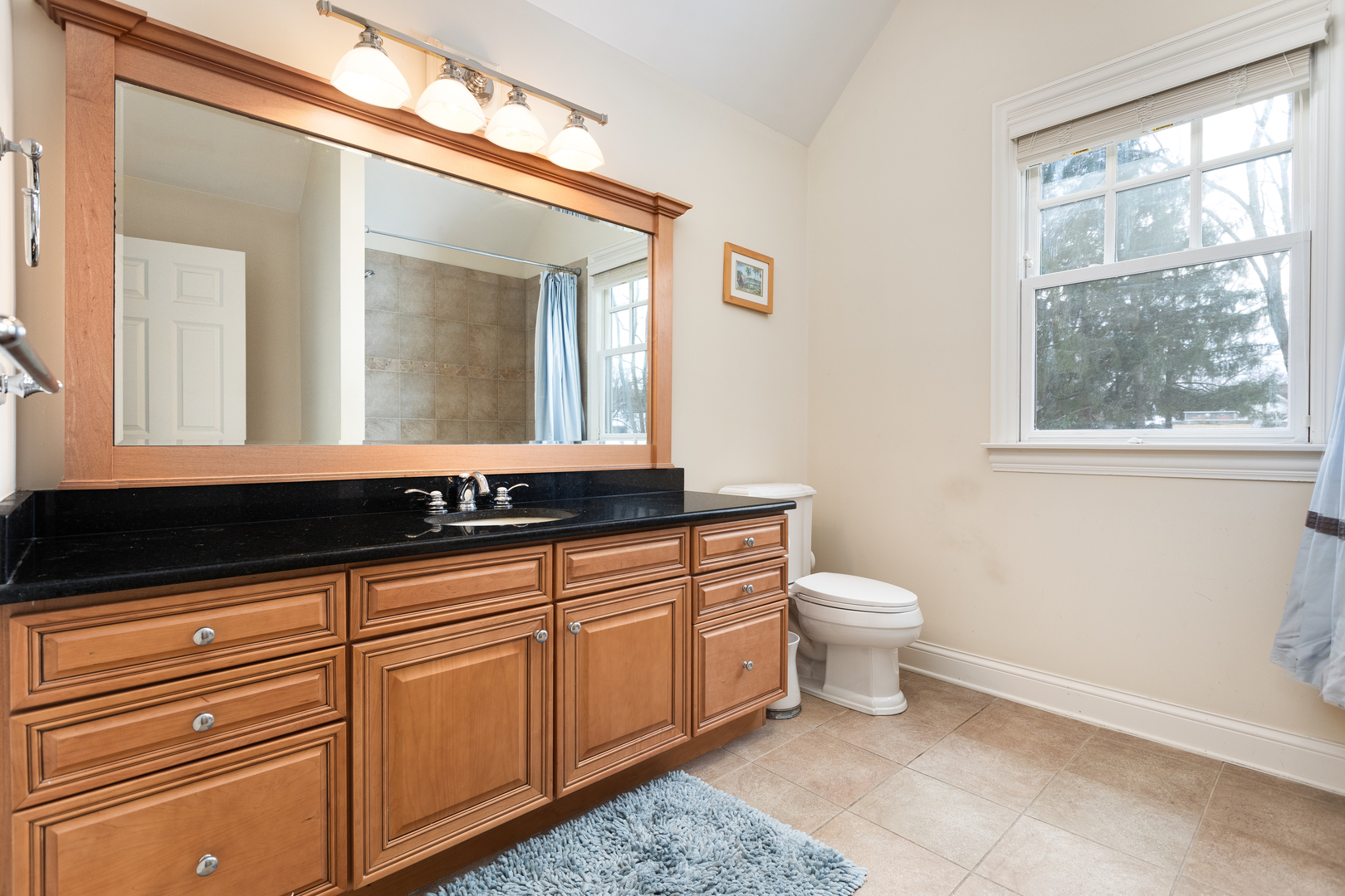 655 Sunset Drive Naperville, IL 60540 - Photo 41 of 61 a bathroom with a sink a toilet and mirror