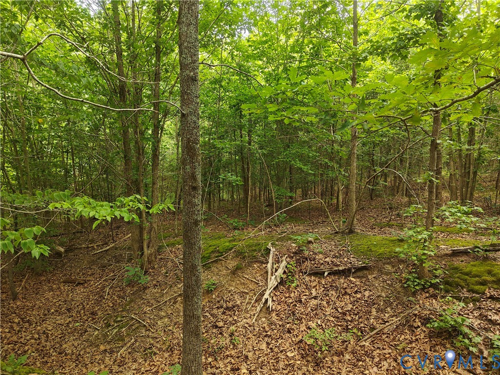 0 Davenport Road Cumberland, VA 23040 - Photo 10 of 15