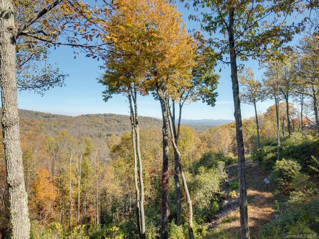 16 Spring Ridge Lane Hendersonville, NC 28739 - Photo 19 of 19 Gallery Image 19