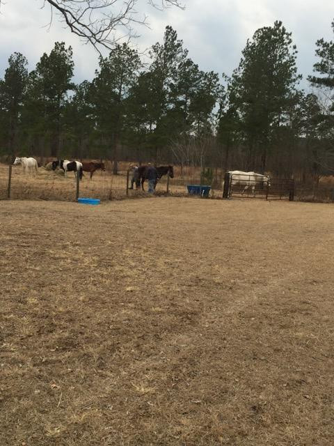 2376 Friendship Road Barnwell, SC 29812 - Photo 1 of 14
