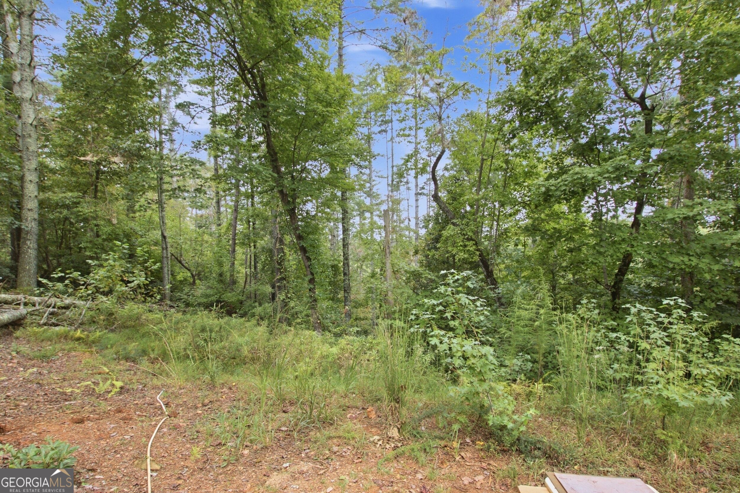 1582 Jennys Cove Road Cleveland, GA 30528 - Photo 21 of 27 Gallery Image 21