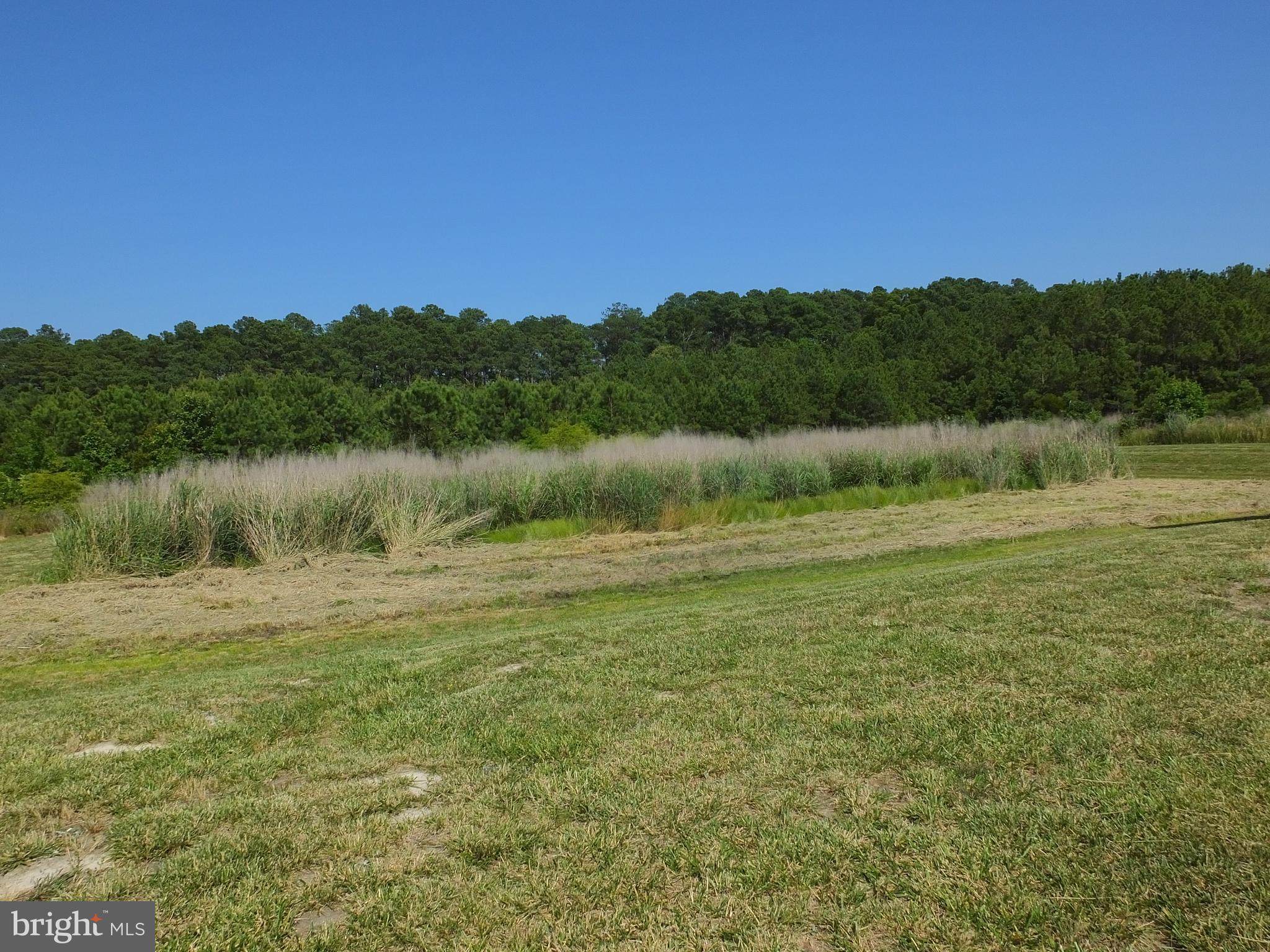 5412 Ragged Point Road Cambridge, MD 21613 - Photo 9 of 30 Gallery Image 9