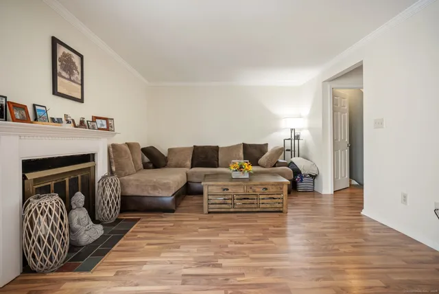 a living room with furniture or couch and a fireplace