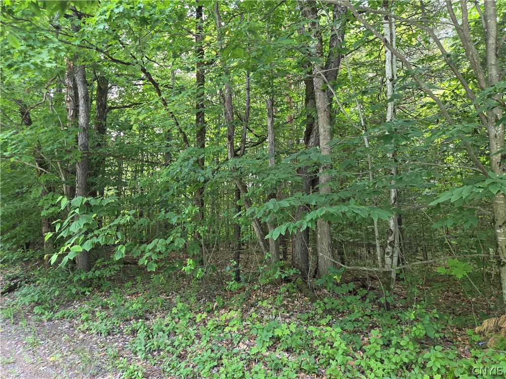 River Road Port Leyden, NY 13433 - Photo 9 of 12