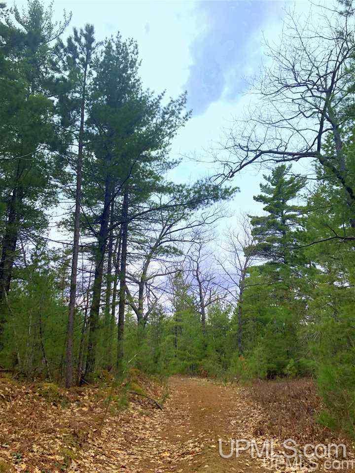Tbd Valley Road Marquette, MI 49855 - Photo 44 of 59