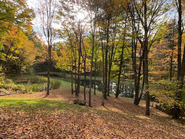 207 Pheasant Run Road Middlefield, NY 13326 - Photo 3 of 44 Fall Colors