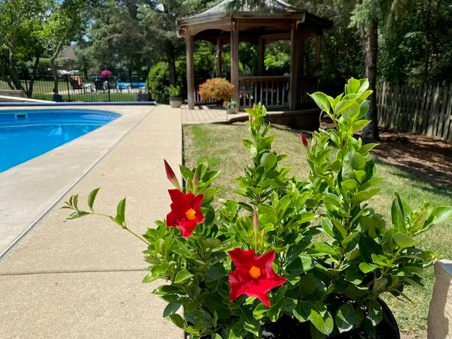 a view of swimming pool with sitting area and furniture