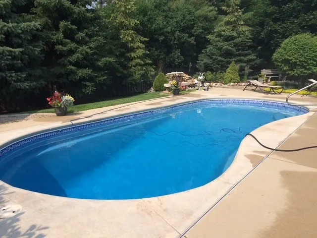 a bunch of flowers and trees in a garden