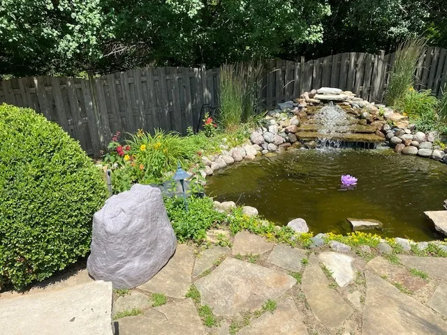 a view of a garden with flowers and flowers