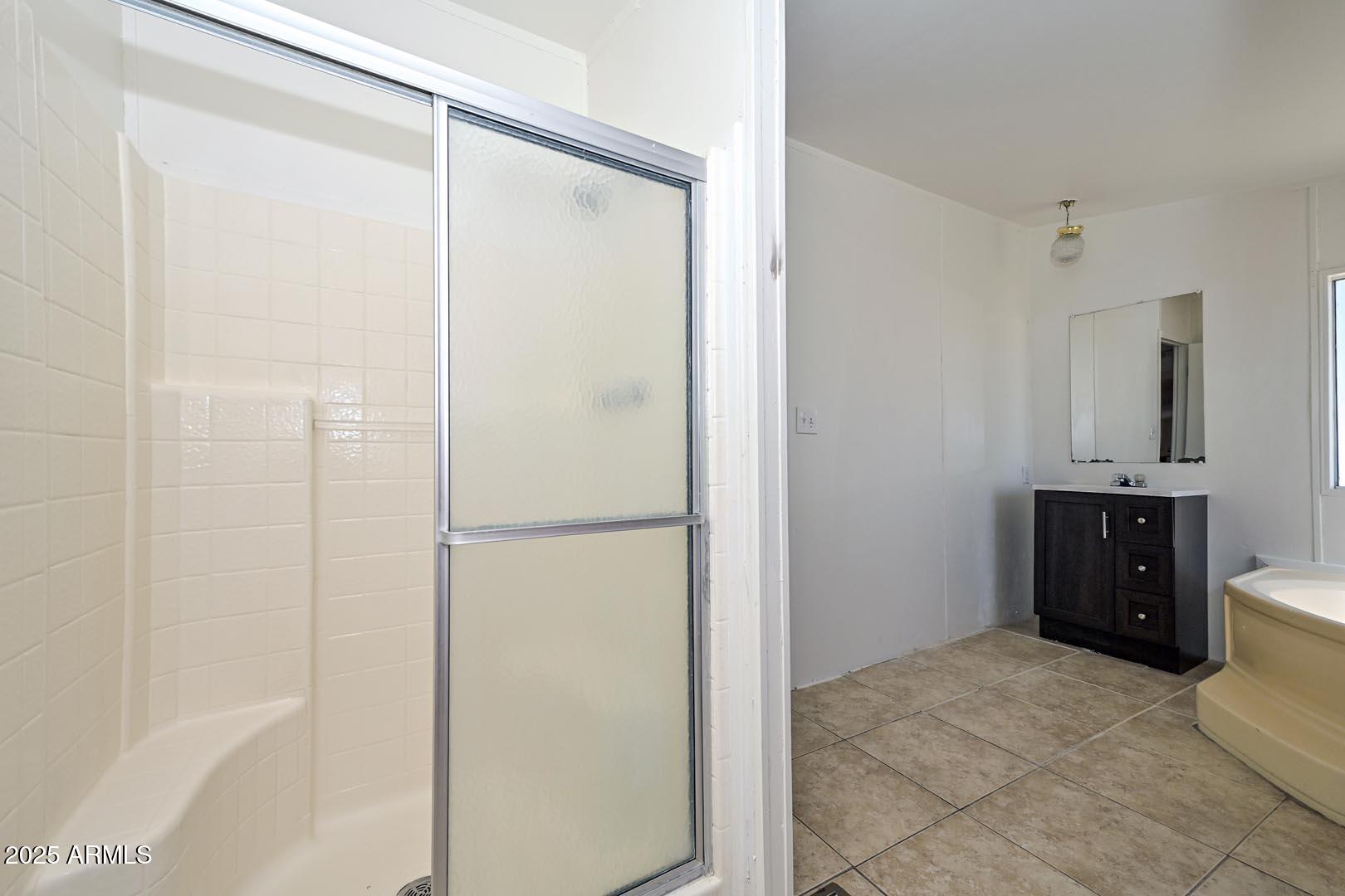 36608 West Lower Buckeye Road Tonopah, AZ 85354 - Photo 35 of 39 a spacious bathroom with a shower and a sink