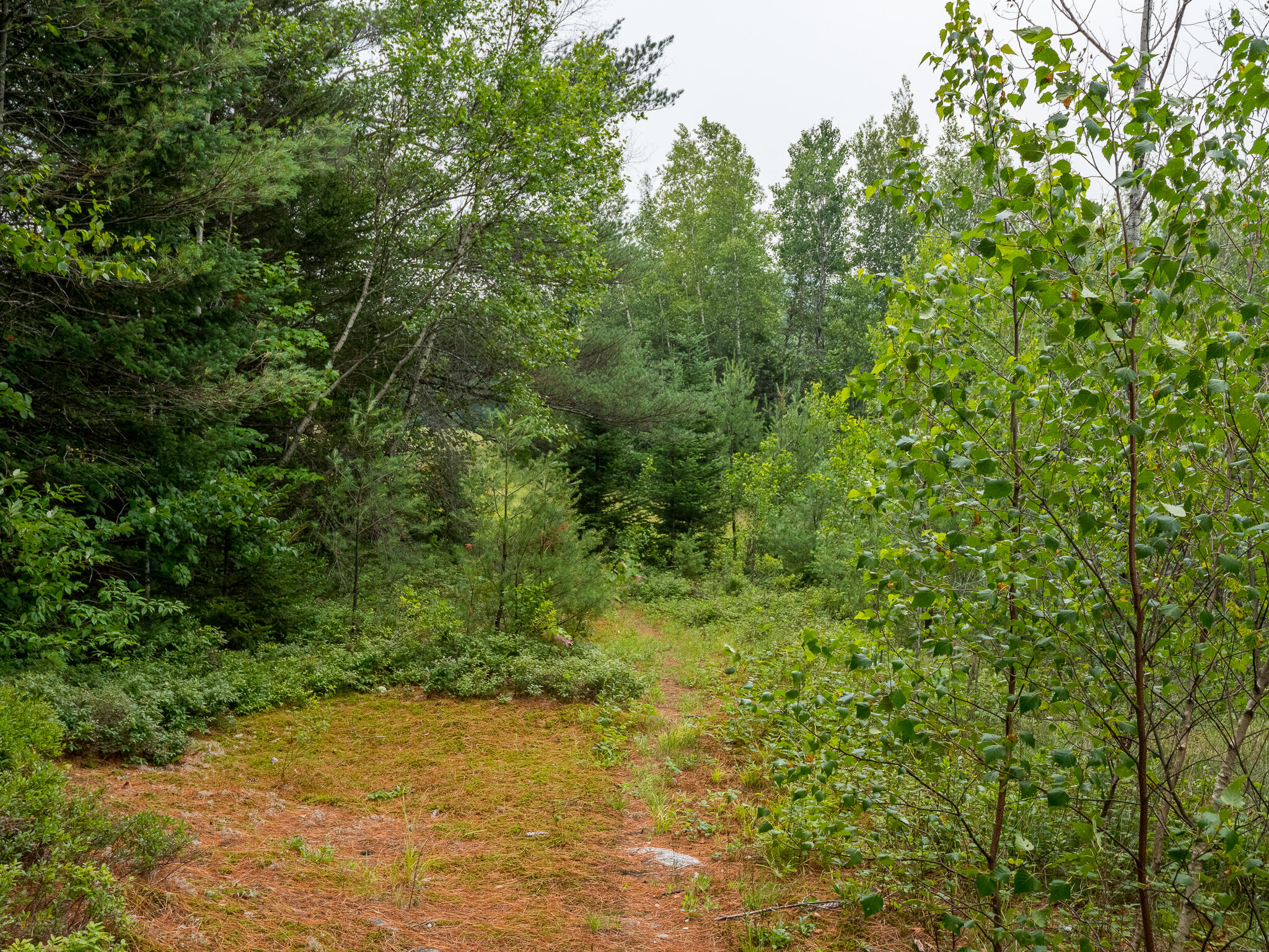 896 Bear River Road Newry, ME 04261 - Photo 39 of 53 869 Bear River-37