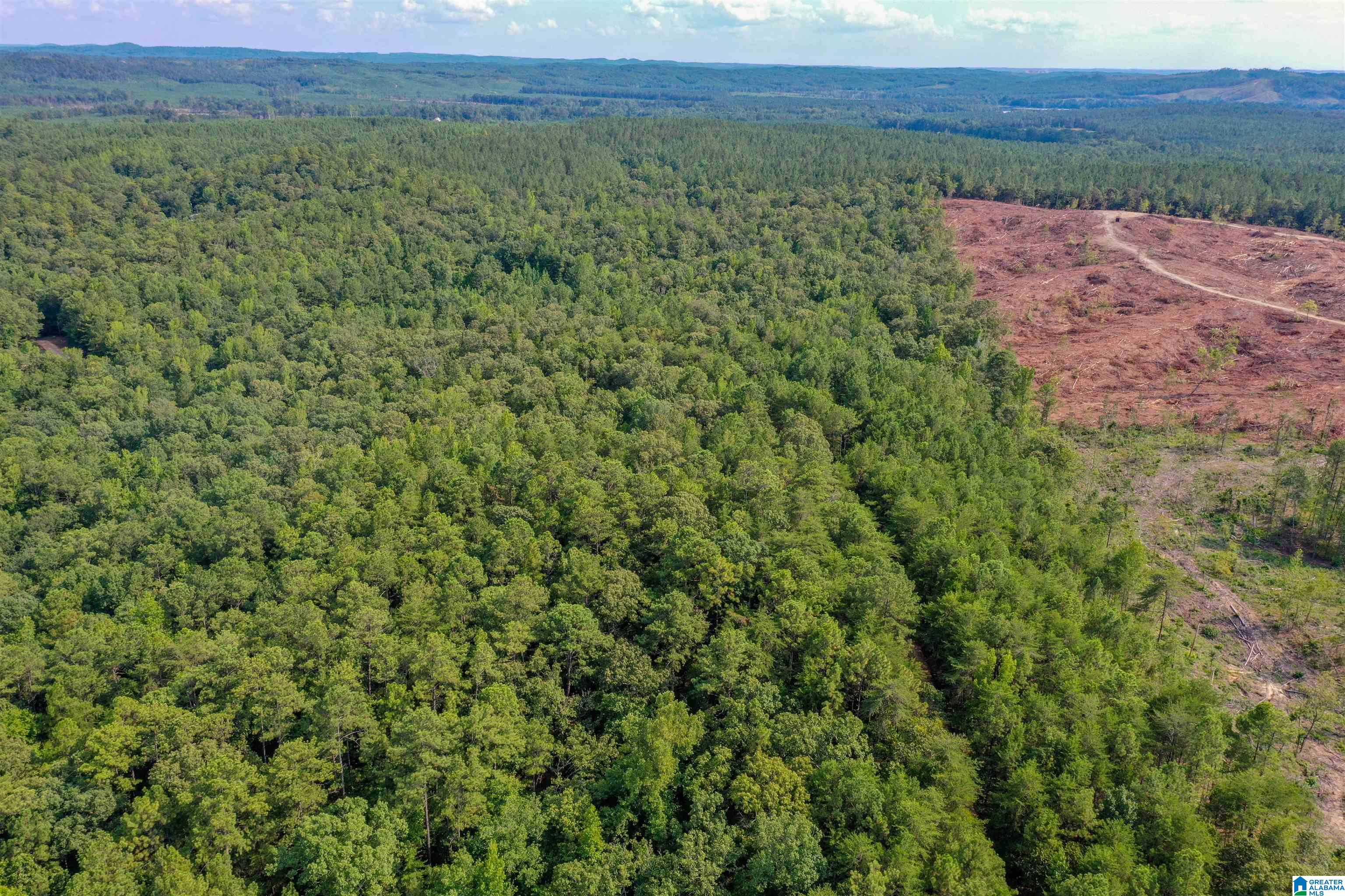 Oak Road Sylacauga, AL 35151 - Photo 1 of 9