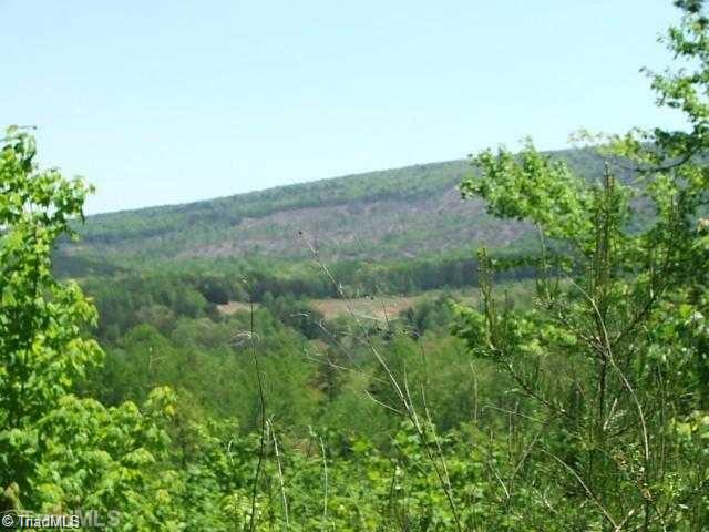 16-ac Thore Road Pinnacle, NC 27043 - Photo 1 of 6 Gallery Image 1