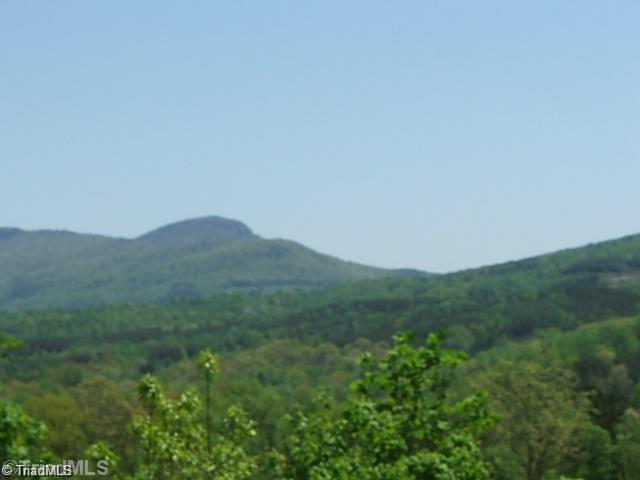 16-ac Thore Road Pinnacle, NC 27043 - Photo 3 of 6 Gallery Image 3
