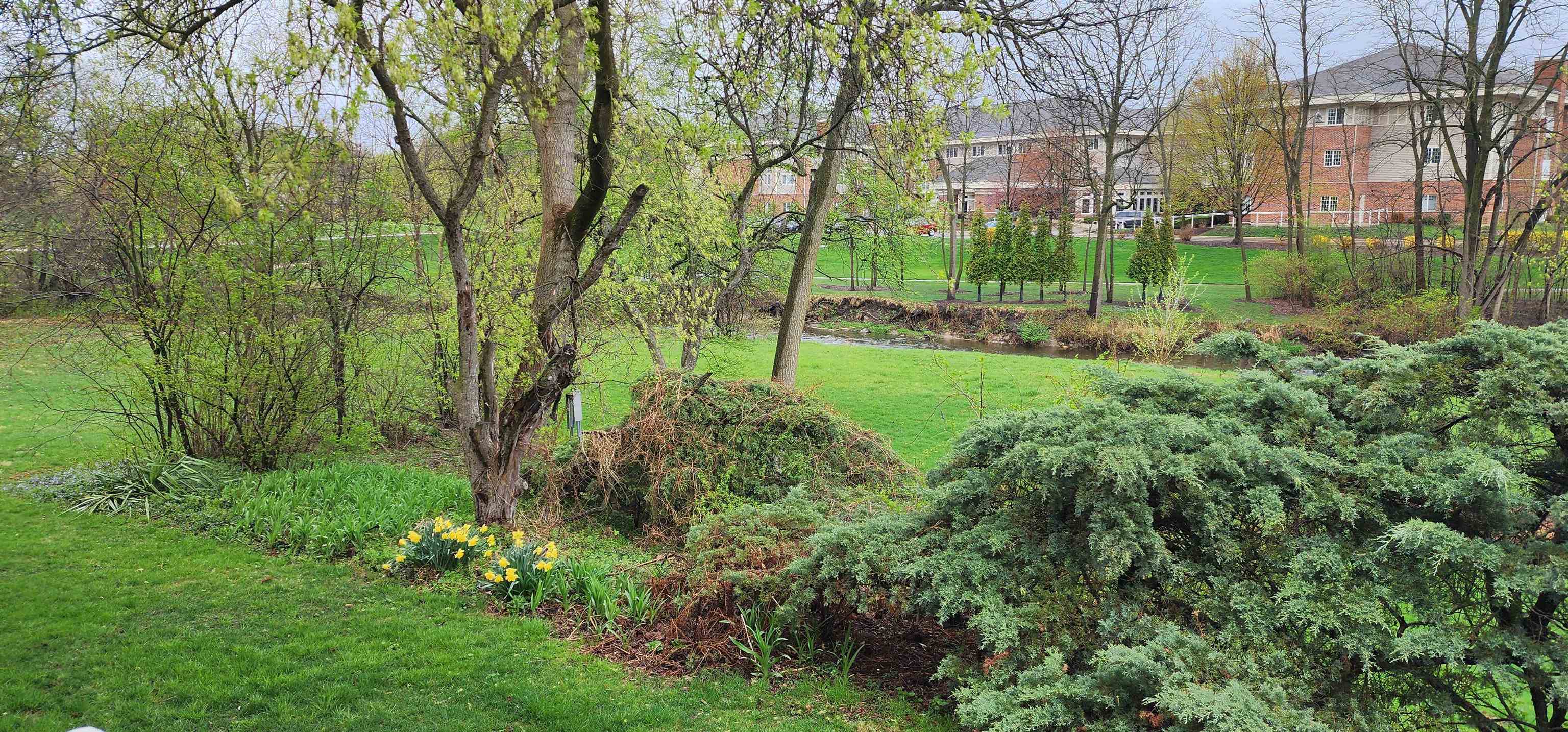 1450 Wing Street Elgin, IL 60123 - Photo 32 of 36 a view of a park with large trees