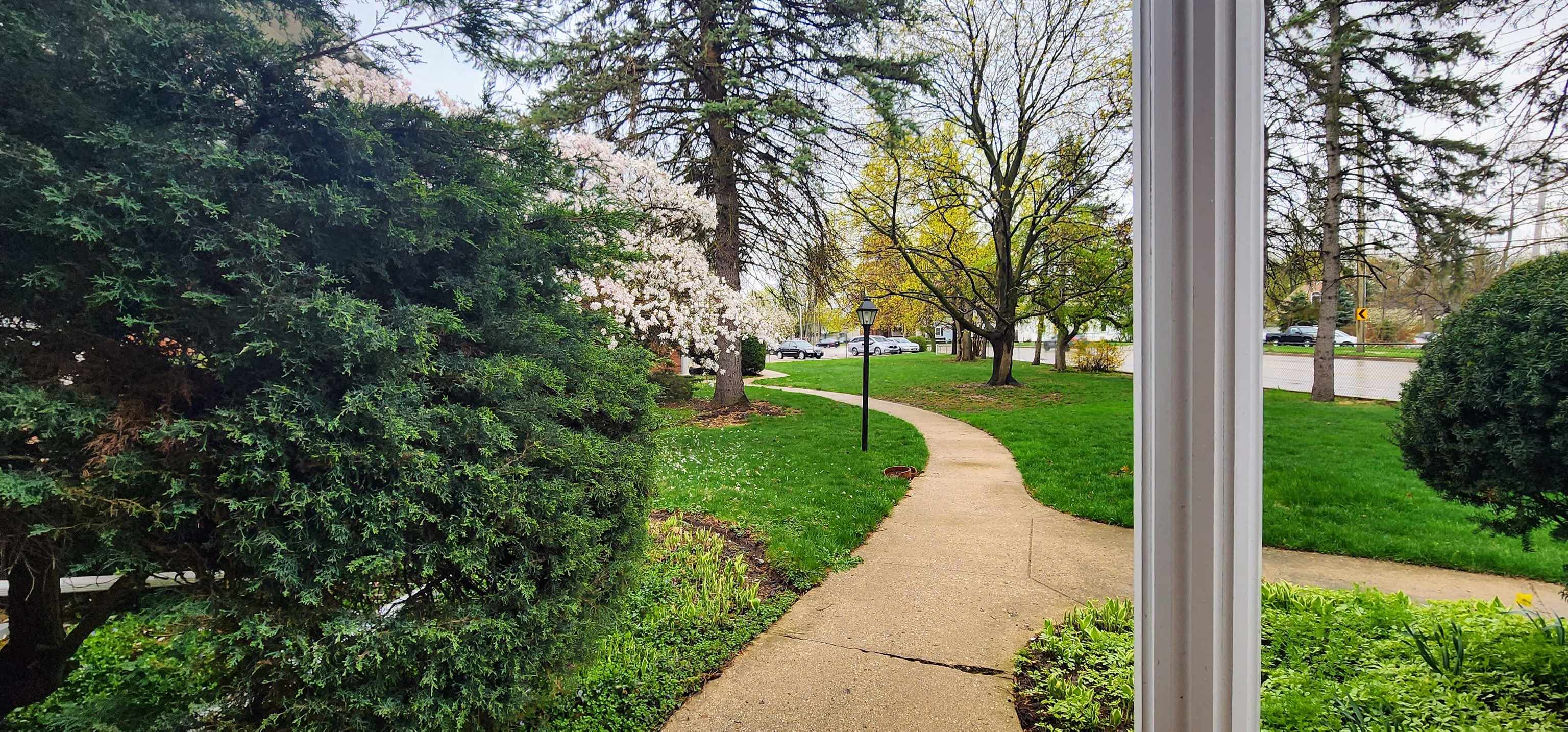 1450 Wing Street Elgin, IL 60123 - Photo 34 of 36 a view of a park with large tree