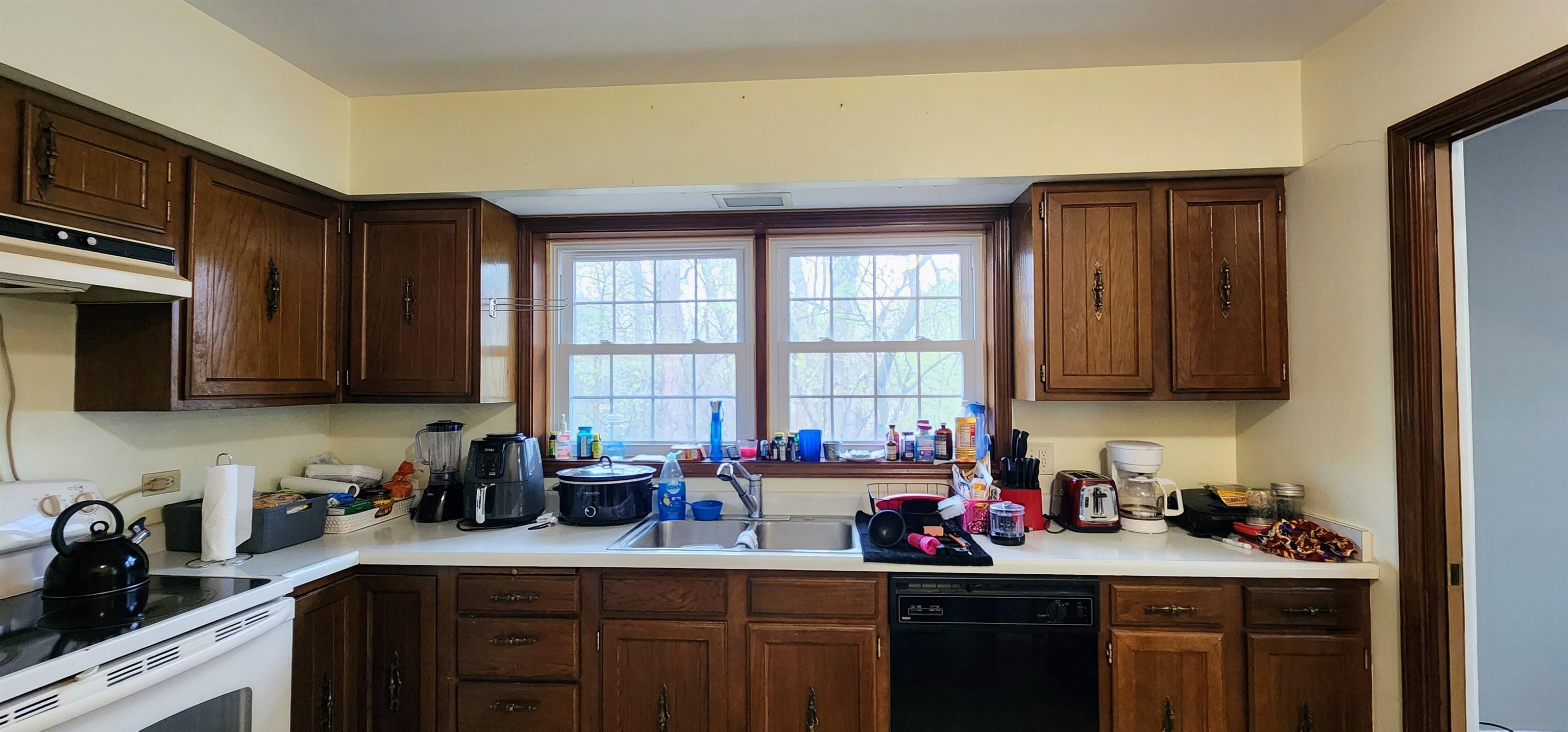 1450 Wing Street Elgin, IL 60123 - Photo 9 of 36 a kitchen with sink a window and cabinets