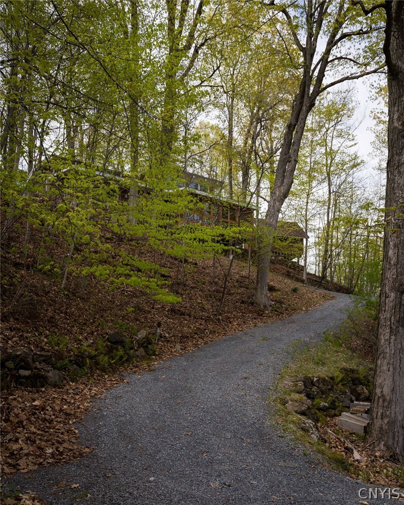18490 Otter Point Road Orleans, NY 13640 - Photo 39 of 45 gravel pathway to/from the water