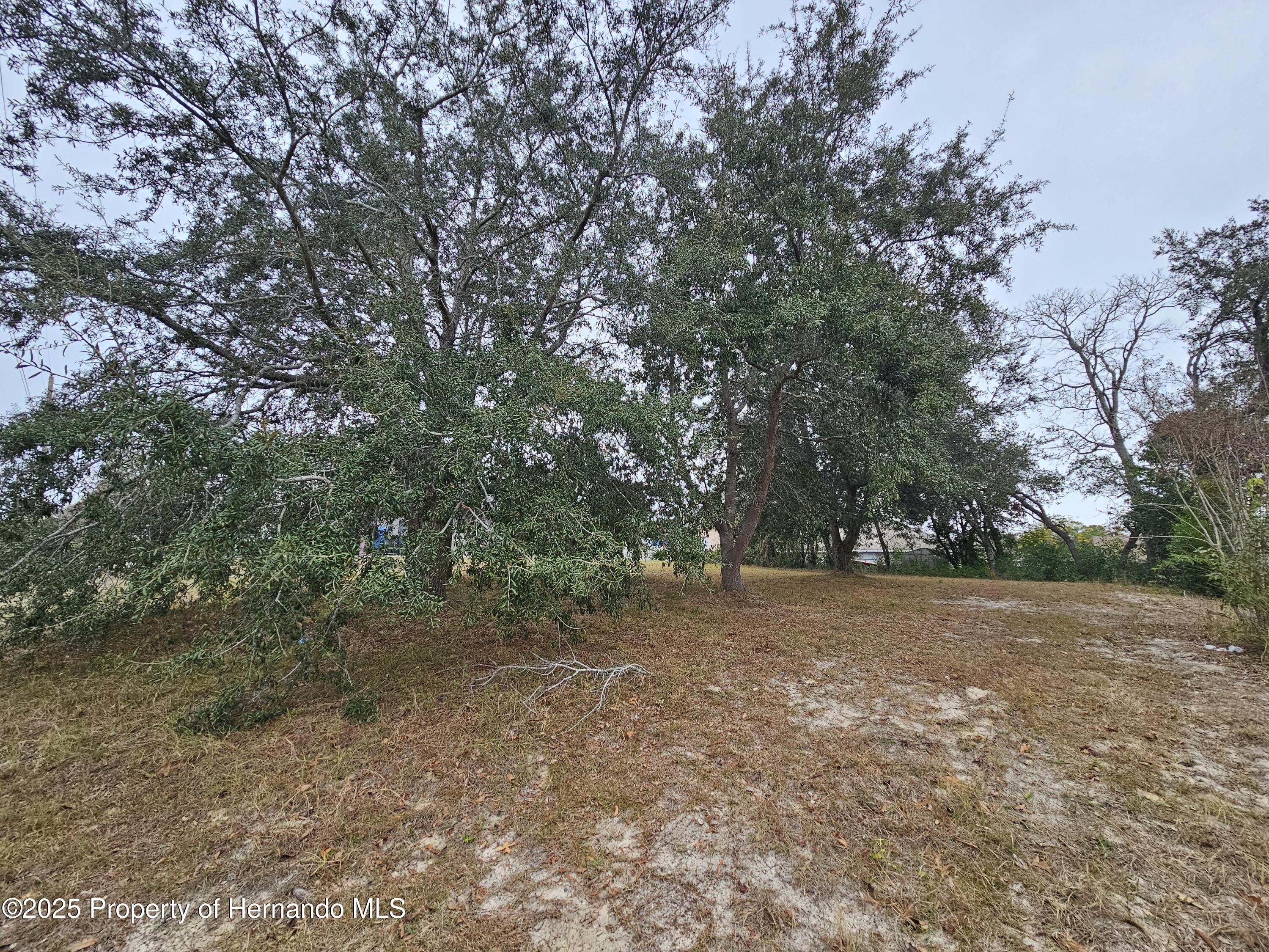 0 Abbeville Street Spring Hill, FL 34608 - Photo 11 of 14